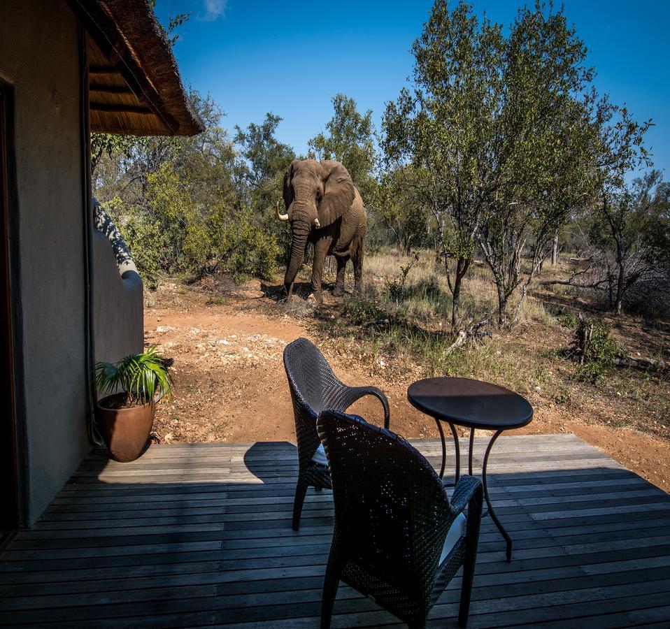 Makalali Game Reserve Garonga Safari 빌라 외부 사진