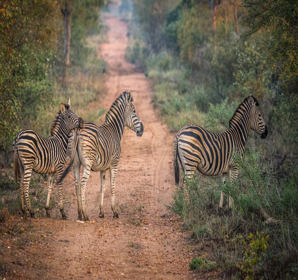 Makalali Game Reserve Garonga Safari 빌라 외부 사진