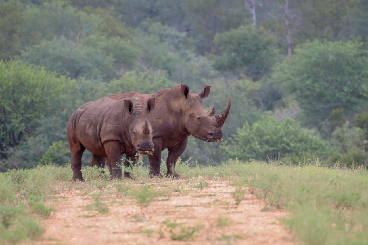 Makalali Game Reserve Garonga Safari 빌라 외부 사진